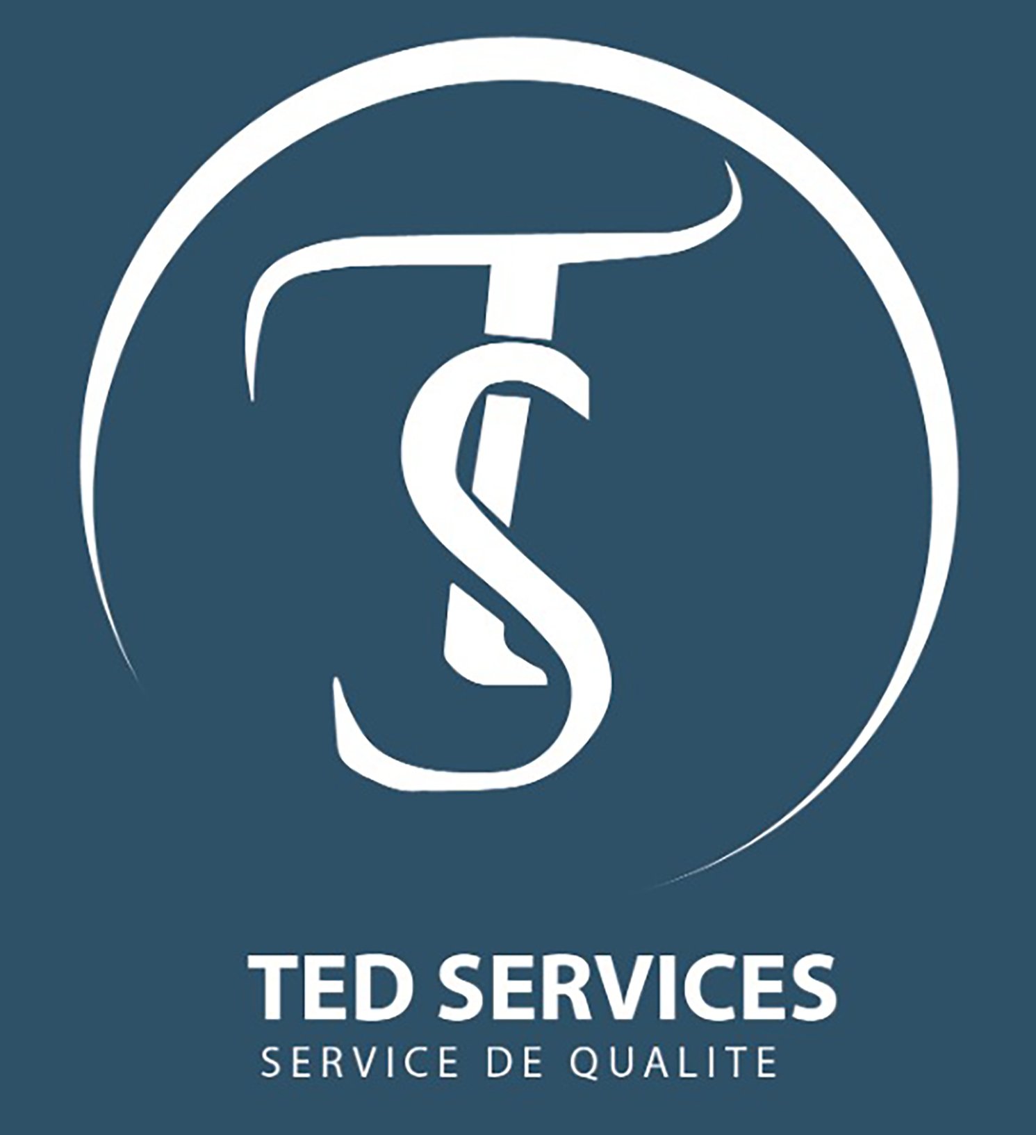 Logo TED SERVICES